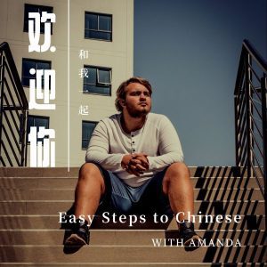 STANDARD CHINESE COURSE